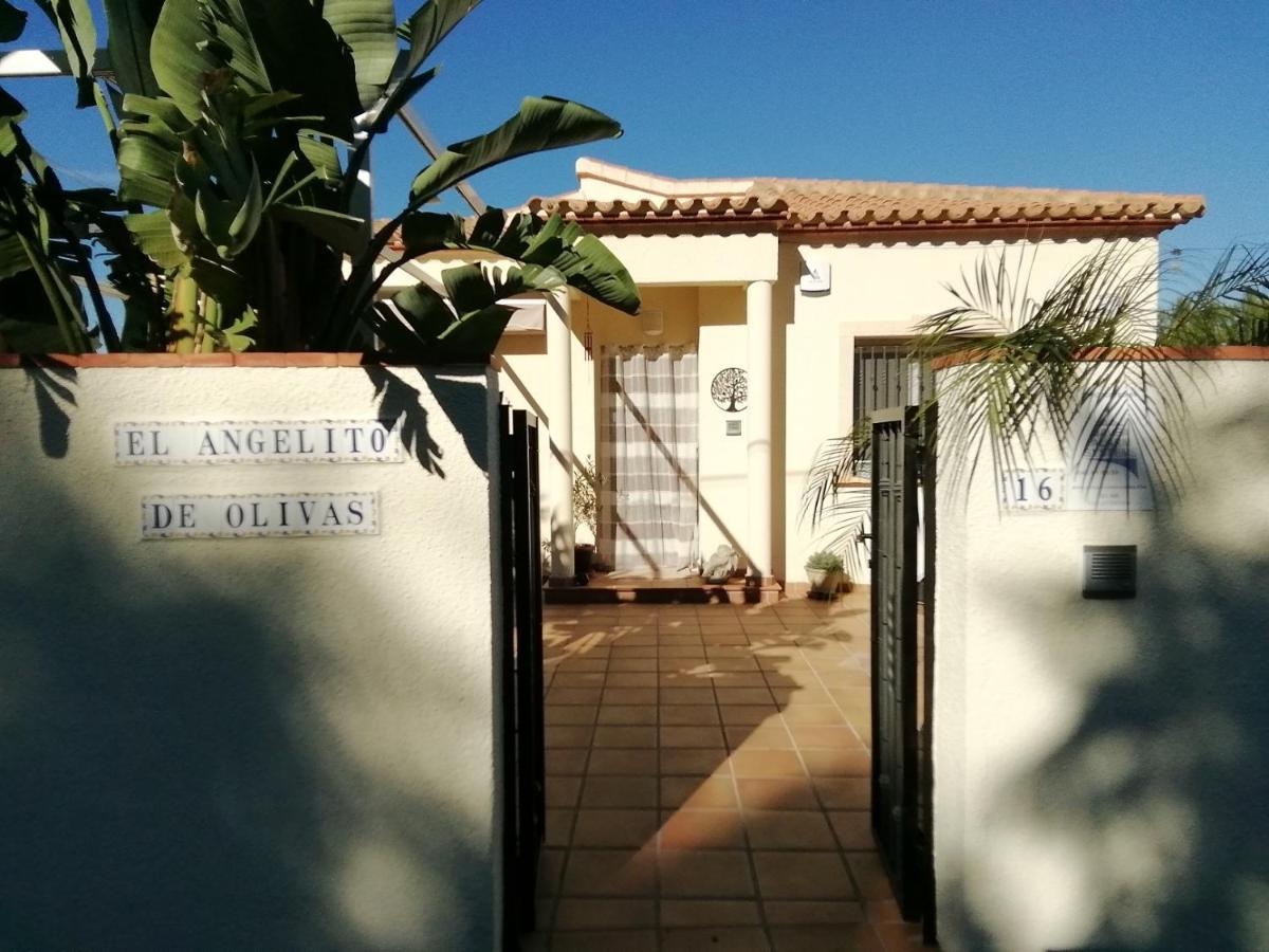 Guest House El Angelito De Olivas Pedreguer Extérieur photo